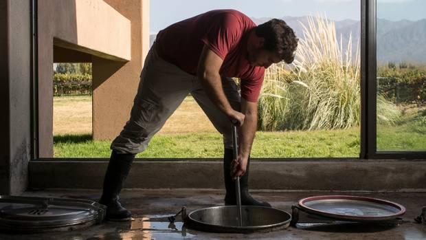 Riccitelli Wine Company