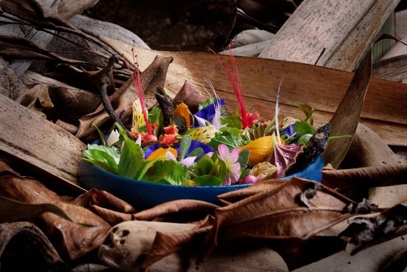 a50br - locavore - SRA 5