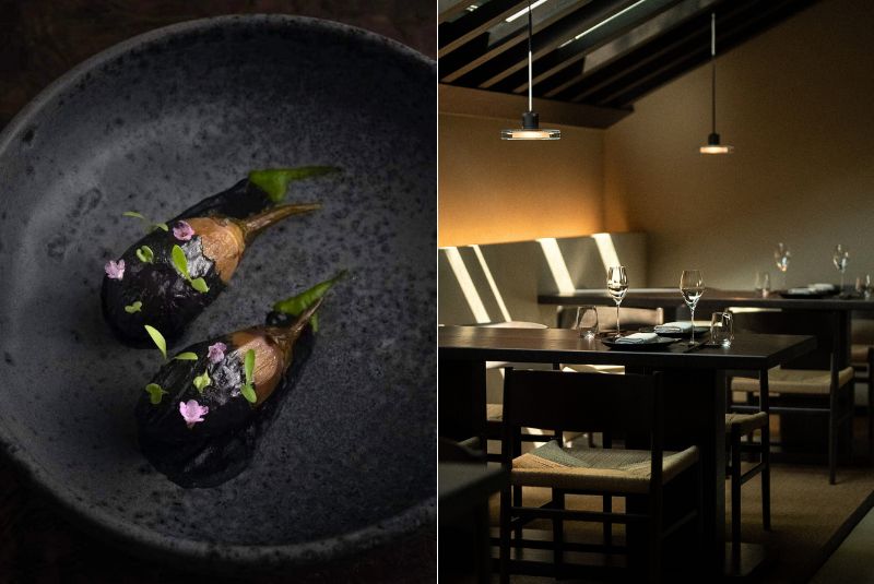 A50BR24-LAMDRE-OTW-COPY-FOOD-INTERIOR