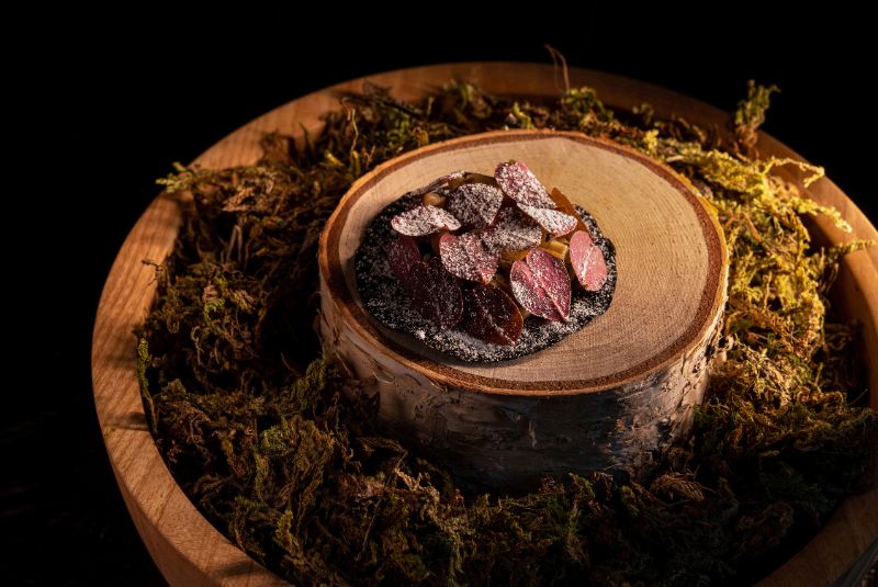 A50BR24-LAMDRE-OTW-COPY-Food