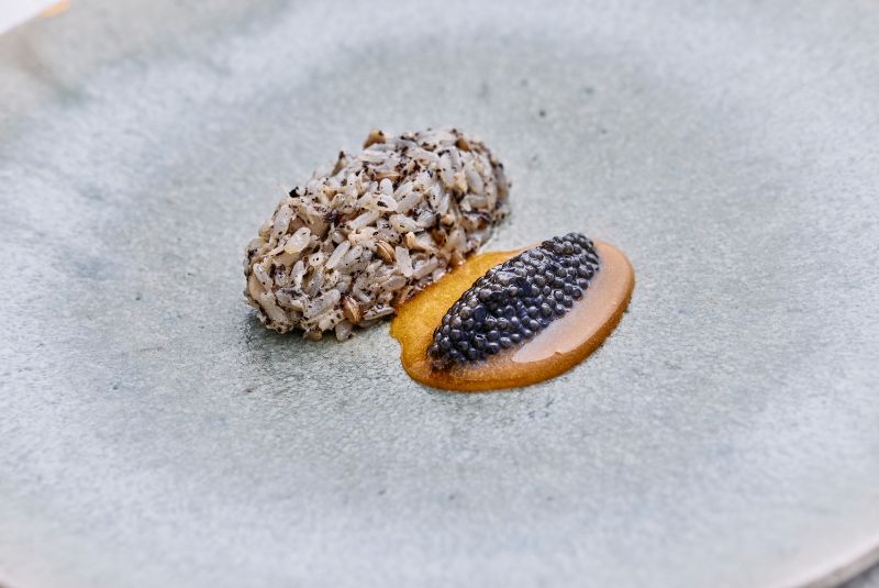 Alla Prima_A50BR25-51-100