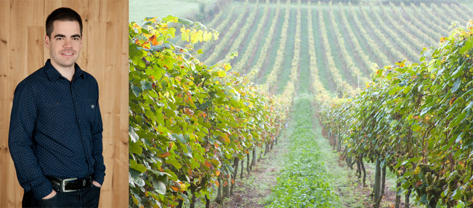 The essential guide to Basque white wine by Bertol Izagirre of Azurmendi’s winery