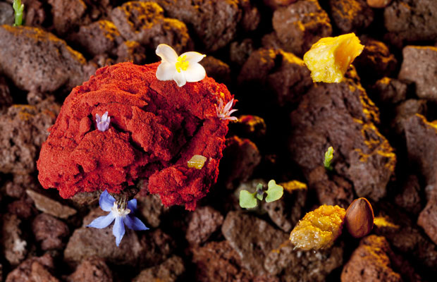 Biko-WORLD-2016-DISH1