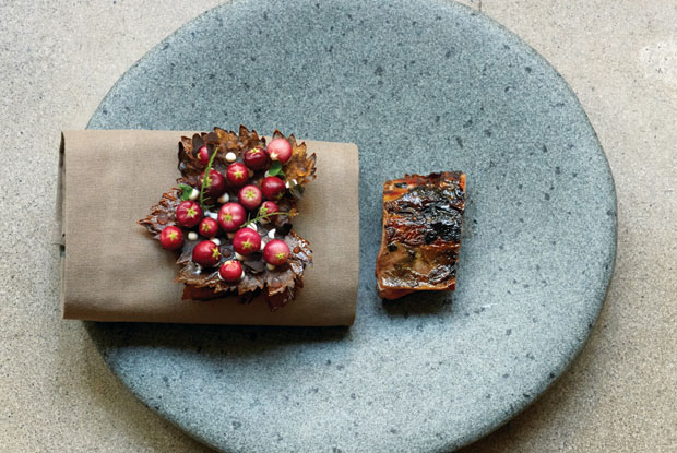 Borago-WORLD-2016-DISH1