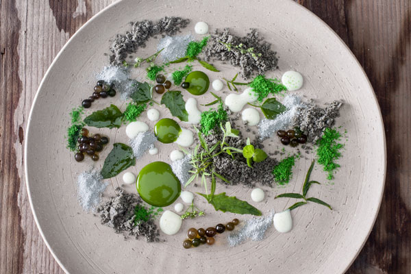 CENTRAL-LATAM-2016-DISH1