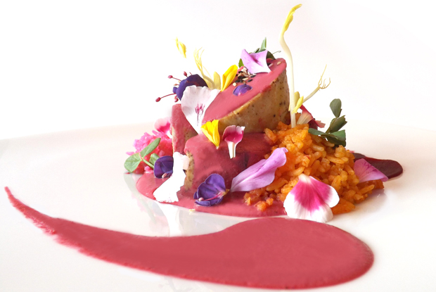DULCE PATRIA-LATAM-2016-DISH1