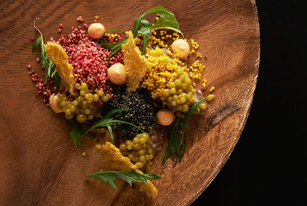 EL-BAQUEANO-LATAM-2016-DISH2