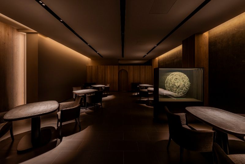 Hajime_A50BR25-51-100