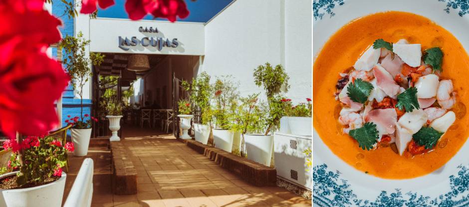 Highest New Entry Award 2025