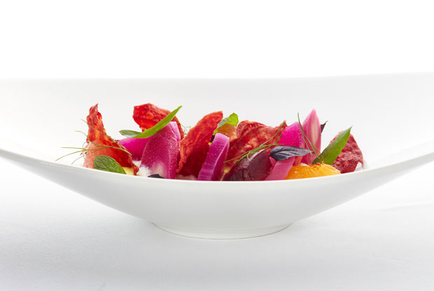 Malabar-LATAM-2016-DISH2