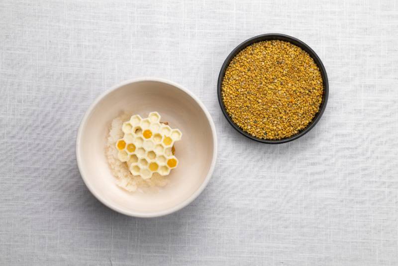 MENA50BR25-CC-TalaBashmi-2