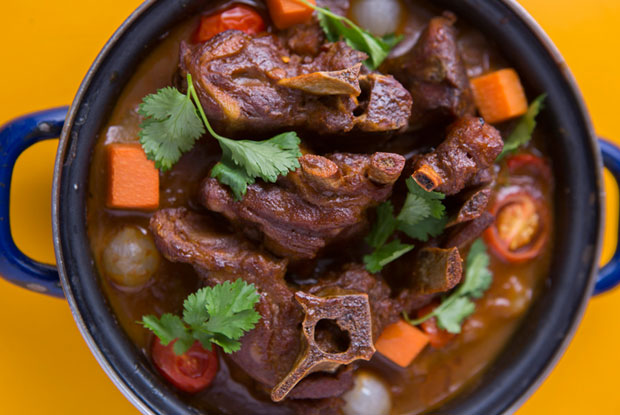 Mocoto-LATAM-2016-DISH1