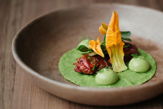 Pujol-LATAM-2016-DISH3-1