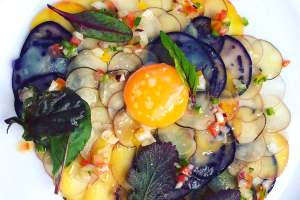 PURA-LATAM-2016-DISH1