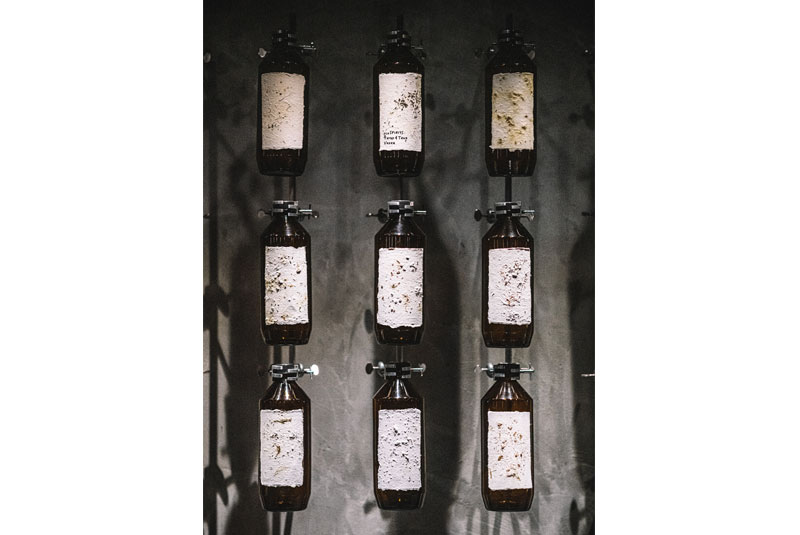 Stories21-PenicillinSust-Bottles