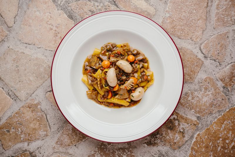 Testina_A50BR25-51-100