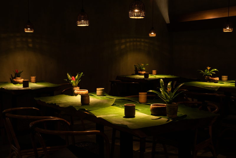 A50BR25-AOH-article3