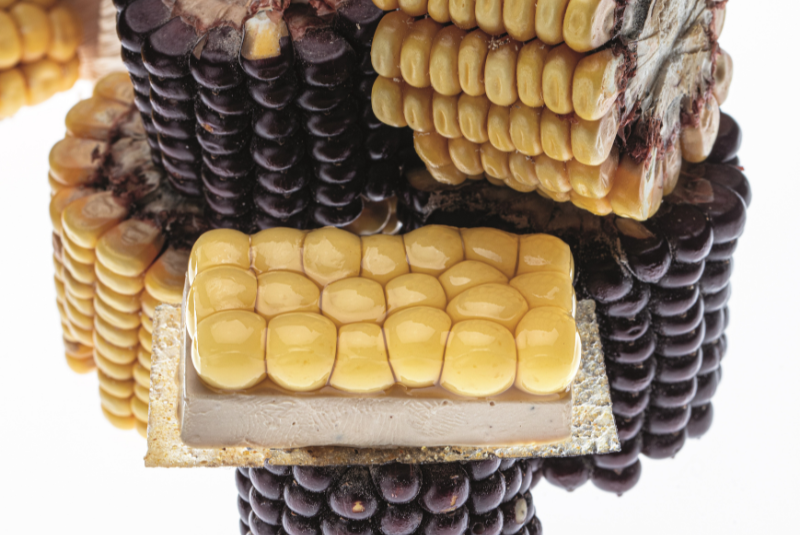 Disfrutariconicdishes-multisphericaltatin